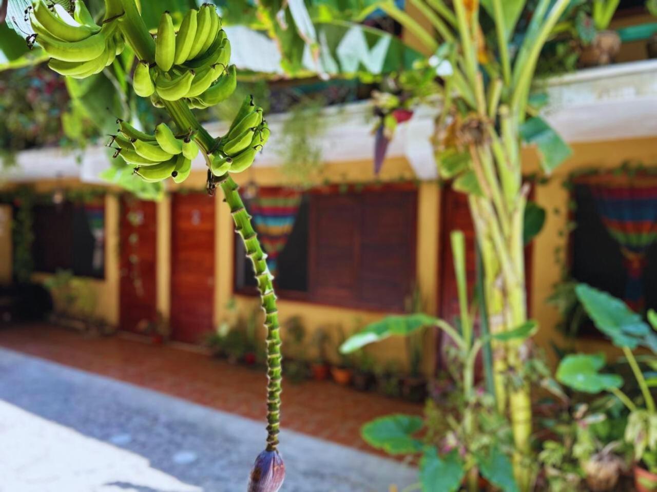 Hotel Casa Del Mar Mazunte Санта-Мария-Тонамека Экстерьер фото
